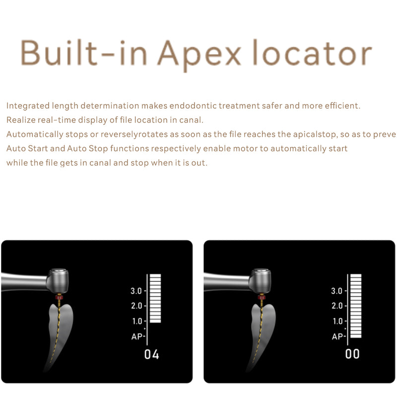 Waldent RTA Endo Space Brushless Endomotor With In-Built Apex Locator By Woodpecker