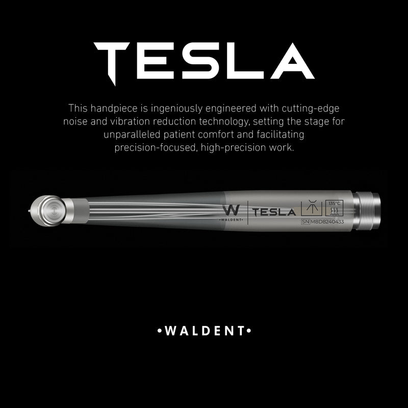 Waldent Tesla Airotor Standard Head (W-160)